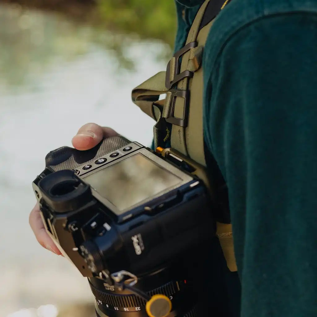 Capture | Kelp